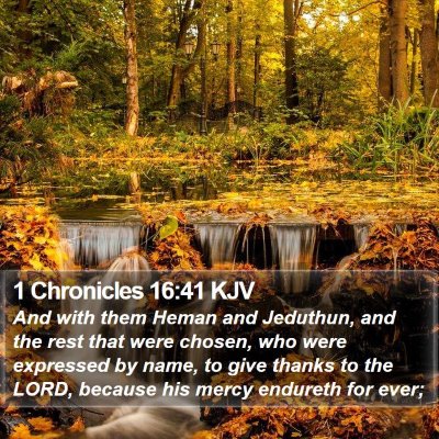 1 Chronicles 16:41 KJV Bible Verse Image