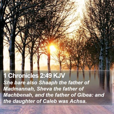 1 Chronicles 2:49 KJV Bible Verse Image
