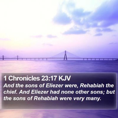 1 Chronicles 23:17 KJV Bible Verse Image