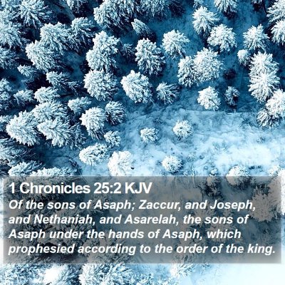1 Chronicles 25:2 KJV Bible Verse Image