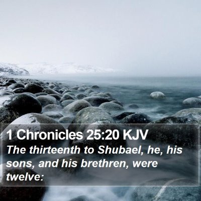 1 Chronicles 25:20 KJV Bible Verse Image