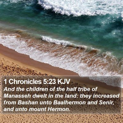 1 Chronicles 5:23 KJV Bible Verse Image