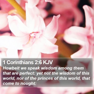 1 Corinthians 2:6 KJV Bible Verse Image