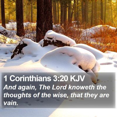 1 Corinthians 3:20 KJV Bible Verse Image