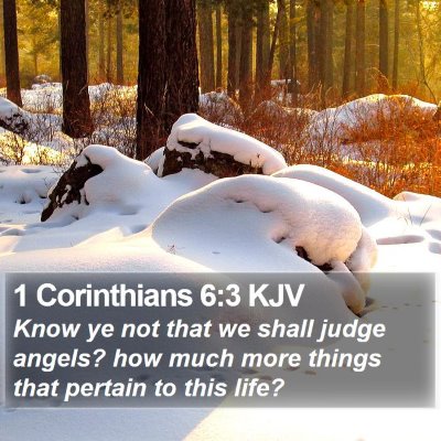 1 Corinthians 6:3 KJV Bible Verse Image