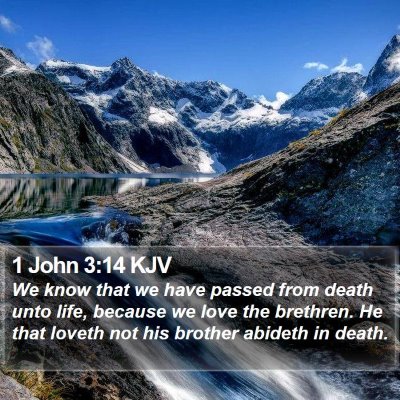 1 John 3:14 KJV Bible Verse Image