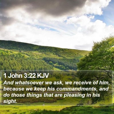 1 John 3:22 KJV Bible Verse Image