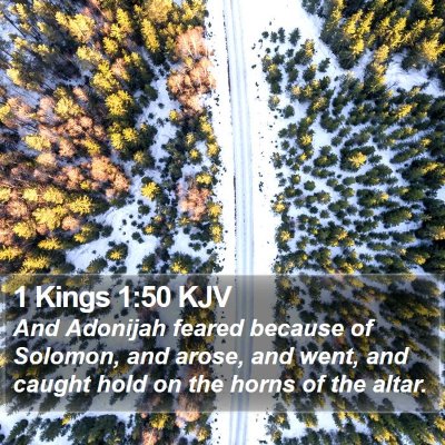 1 Kings 1:50 KJV Bible Verse Image