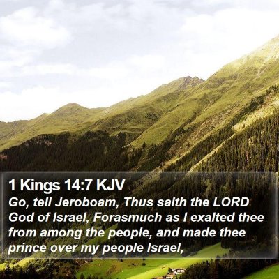 1 Kings 14:7 KJV Bible Verse Image
