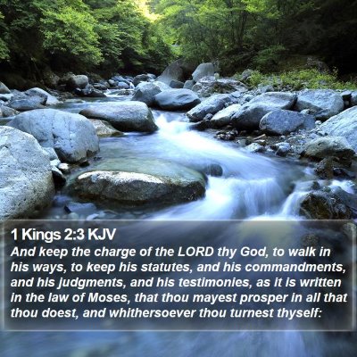 1 Kings 2:3 KJV Bible Verse Image
