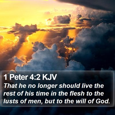 1 Peter 4:2 KJV Bible Verse Image