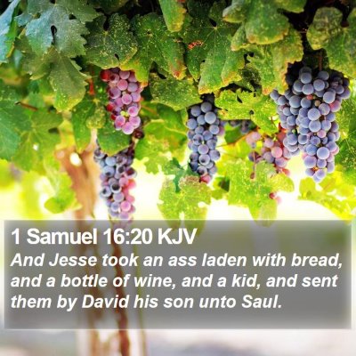 1 Samuel 16:20 KJV Bible Verse Image