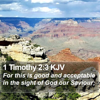 1 Timothy 2:3 KJV Bible Verse Image
