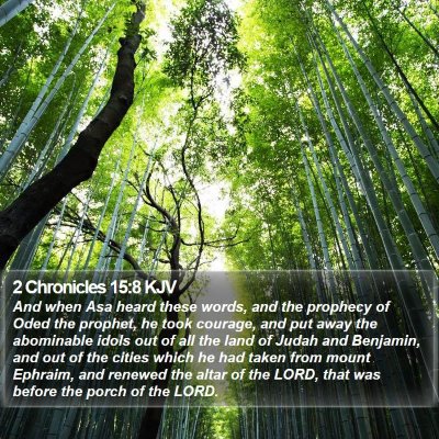 2 Chronicles 15:8 KJV Bible Verse Image