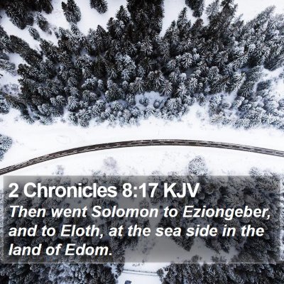2 Chronicles 8:17 KJV Bible Verse Image
