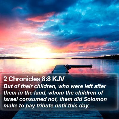 2 Chronicles 8:8 KJV Bible Verse Image