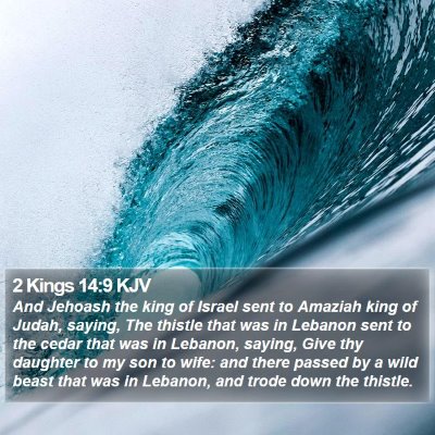 2 Kings 14:9 KJV Bible Verse Image