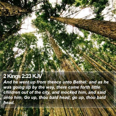 2 Kings 2:23 KJV Bible Verse Image