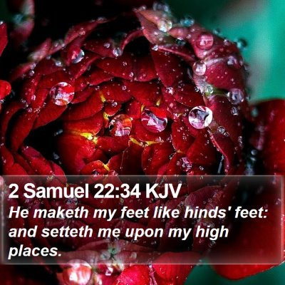 2 Samuel 22:34 KJV Bible Verse Image
