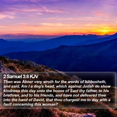 2 Samuel 3:8 KJV Bible Verse Image