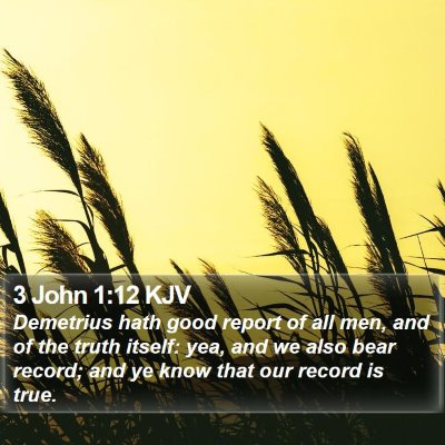 3 John 1:12 KJV Bible Verse Image
