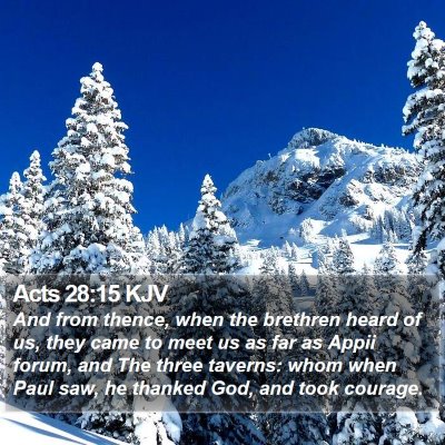 Acts 28:15 KJV Bible Verse Image