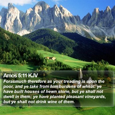 Amos 5:11 KJV Bible Verse Image