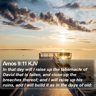 Amos 9:11 KJV Bible Verse Image