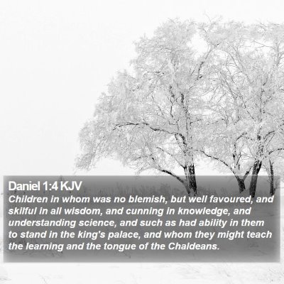 Daniel 1:4 KJV Bible Verse Image