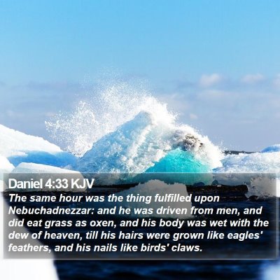 Daniel 4:33 KJV Bible Verse Image