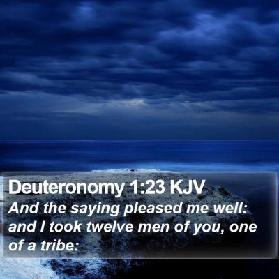 Deuteronomy 1:23 KJV Bible Verse Image