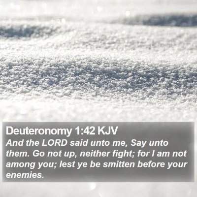Deuteronomy 1:42 KJV Bible Verse Image