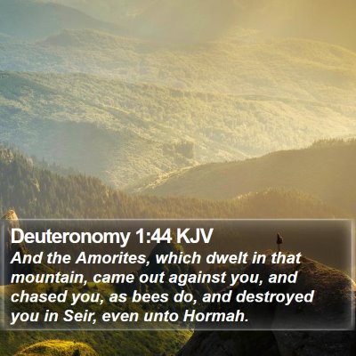 Deuteronomy 1:44 KJV Bible Verse Image