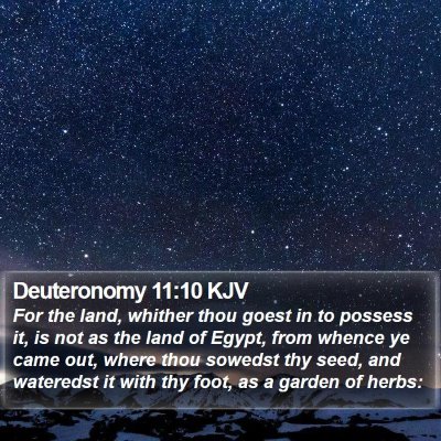 Deuteronomy 11:10 KJV Bible Verse Image