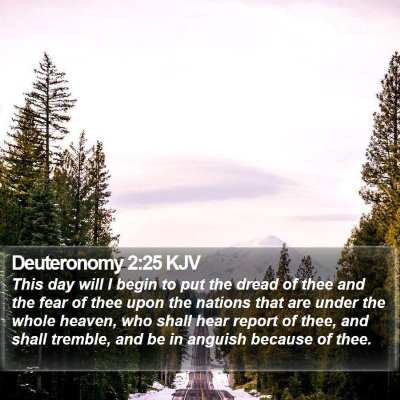 Deuteronomy 2:25 KJV Bible Verse Image