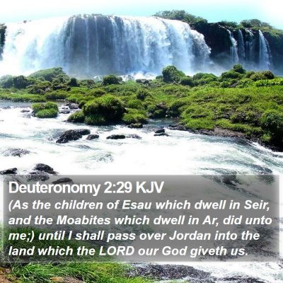 Deuteronomy 2:29 KJV Bible Verse Image