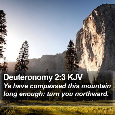 Deuteronomy 2:3 KJV Bible Verse Image