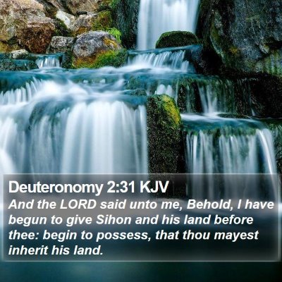 Deuteronomy 2:31 KJV Bible Verse Image