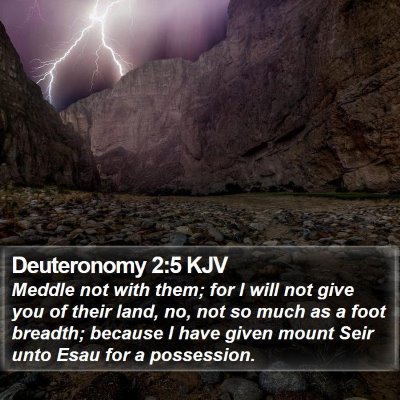 Deuteronomy 2:5 KJV Bible Verse Image