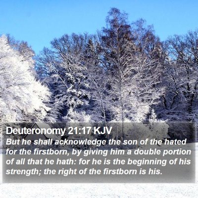 Deuteronomy 21:17 KJV Bible Verse Image