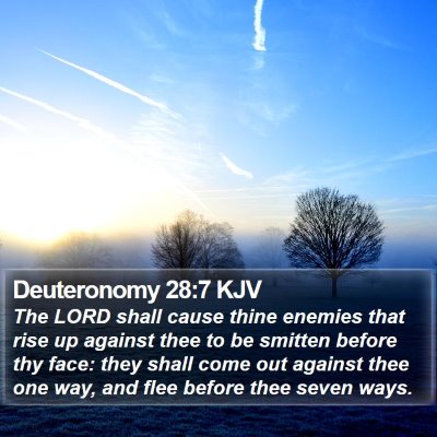 Deuteronomy 28:7 KJV Bible Verse Image