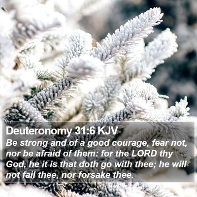 Deuteronomy 31:6 KJV Bible Verse Image