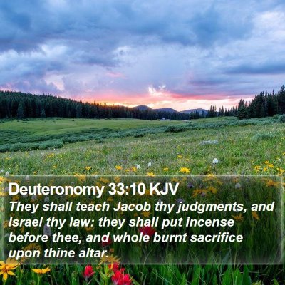 Deuteronomy 33:10 KJV Bible Verse Image