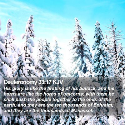 Deuteronomy 33:17 KJV Bible Verse Image