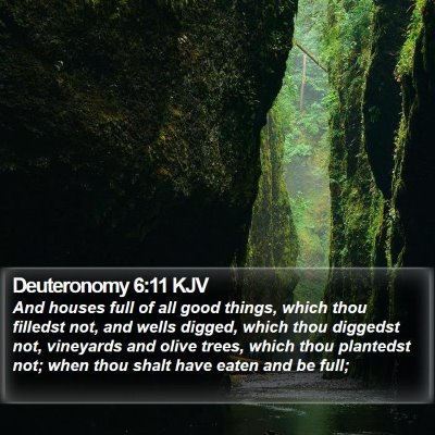 Deuteronomy 6:11 KJV Bible Verse Image