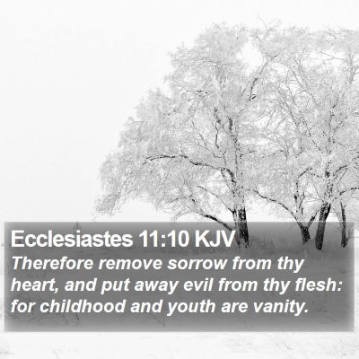 Ecclesiastes 11:10 KJV Bible Verse Image