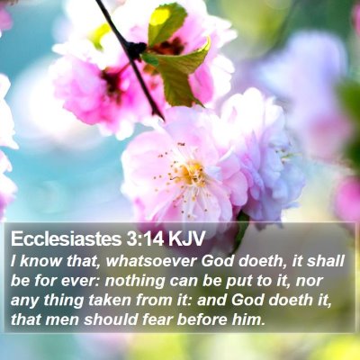 Ecclesiastes 3:14 KJV Bible Verse Image