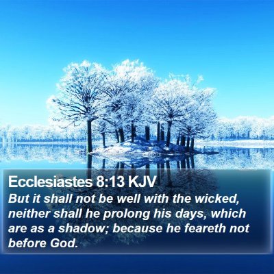 Ecclesiastes 8:13 KJV Bible Verse Image