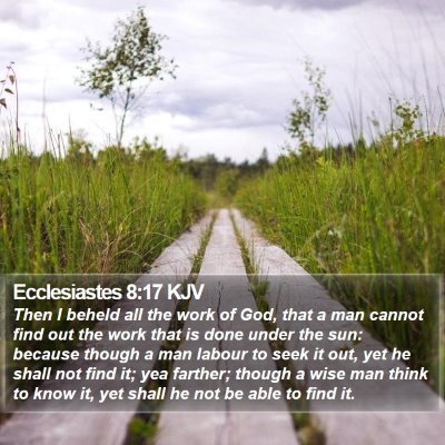 Ecclesiastes 8:17 KJV Bible Verse Image