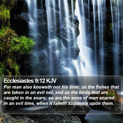 Ecclesiastes 9:12 KJV Bible Verse Image